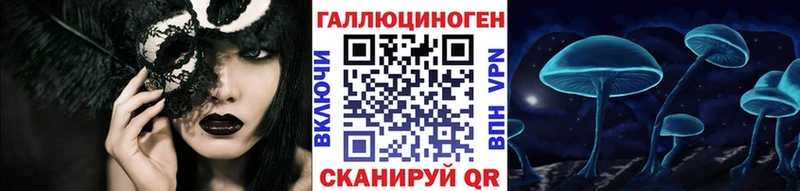 дарнет шоп  Старый Крым  Галлюциногенные грибы прущие грибы 